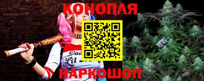 гашик Балахна