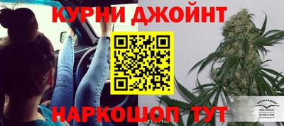 гашик Балахна