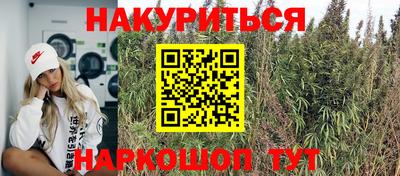 гашик Балахна