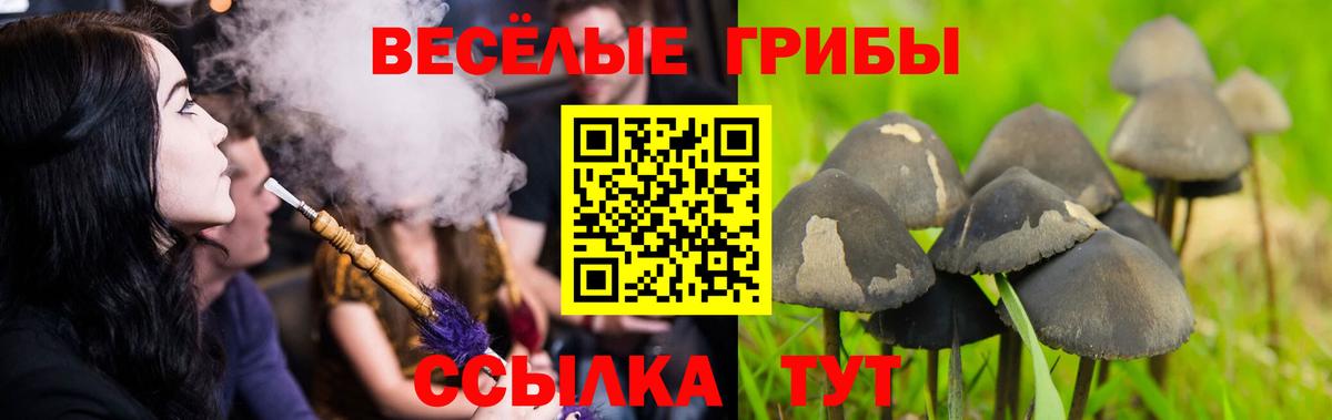 Галлюциногенные грибы MAGIC MUSHROOMS Елец